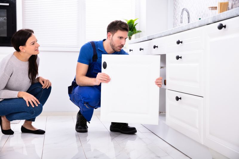 Repair Kitchen Cabinets