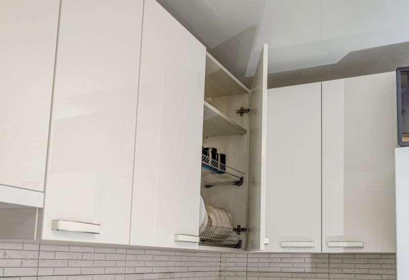 Kitchen Storage Replacement in Carmel, IN
